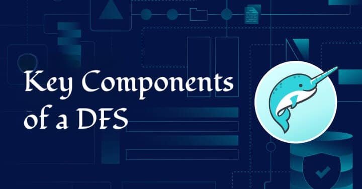 Key Components of a DFS